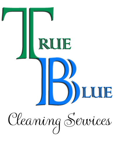 Cleaning Services website